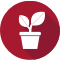 Plant-Icon Plant-Icon