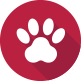 Veterinarian-Icon Veterinarian-Icon