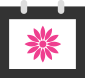 May-Flower-Icon May-Flower-Icon