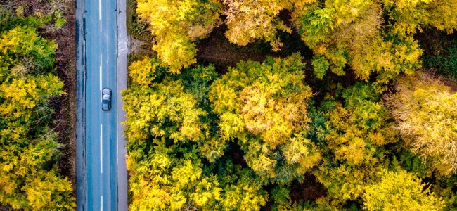 Overhead-Shot-of-Car-on-Tree-Lined-Road
