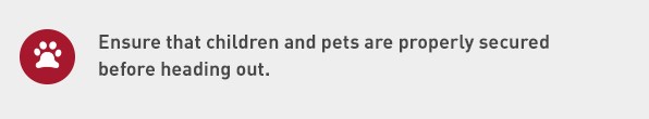 What-You-Can-Do-Secure-Pets-Graphic