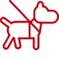 Safety-Harness-Icon